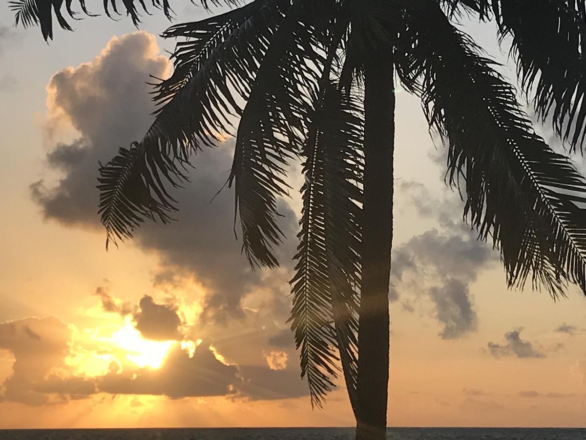Dreamcabanas Caye Caulker Exterior photo
